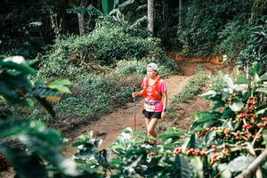 BIB: 
                            <button type="button" onclick="openModal(25856518)" class="btn btn-primary btn-sm float-right btn-popup" data-toggle="modal" data-target=".modal-high-quality">
                        <i class="fas fa-shopping-cart"></i> Add to Cart
                    </button>
                                            <button type="button" onclick="isThisMe(25856518, true)" class="btn btn-success btn-sm float-right btn-popup btn-isme hidden" data-toggle="tooltip" data-placement="bottom" title="นี่คือรูปของคุณใช่ไหม คลิกที่นี่เพื่อเอาเข้าอัลบั้ม">
                        <i class="fas fa-plus"></i> Add to album
                    </button>
                    <button type="button" onclick="isThisMe(25856518, false)" class="btn btn-warning btn-sm float-right btn-popup btn-isnotme hidden">
                        <i class="fas fa-ban"></i> Remove from album
                    </button>